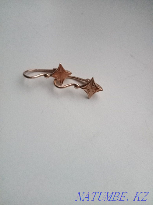 Gold 583 test. Almaty - photo 1