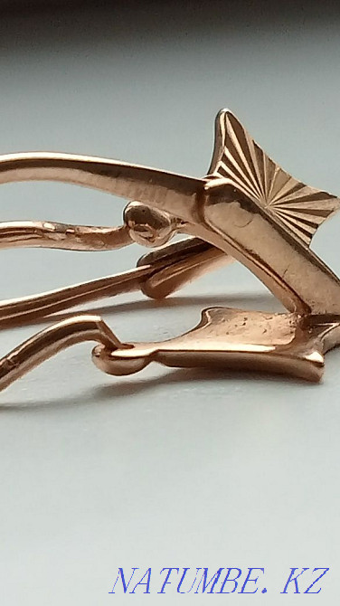 Gold 583 test. Almaty - photo 3