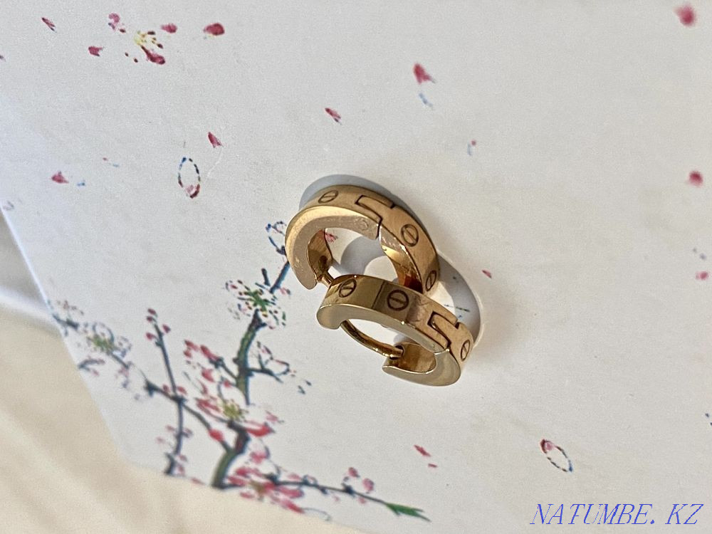 Selling earrings Astana - photo 1