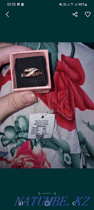 Камлект золотой. Бектобе - изображение 5