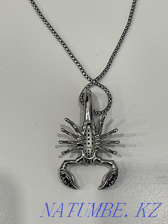 Pendant and chain Thomas Sabo Astana - photo 3