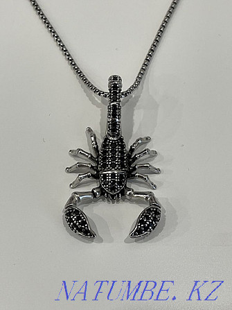 Pendant and chain Thomas Sabo Astana - photo 1