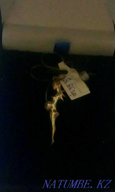 Кулон сатылады. Шымкент - изображение 1