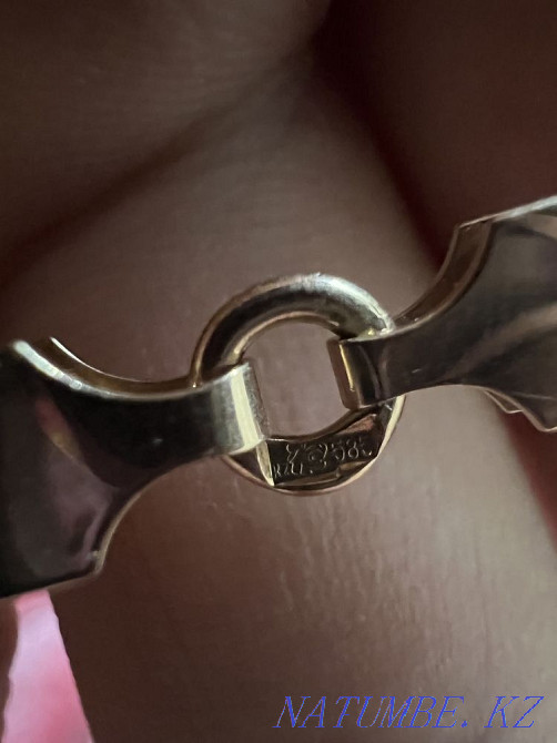 Золотая цепь бисмарк Петропавловск - изображение 4