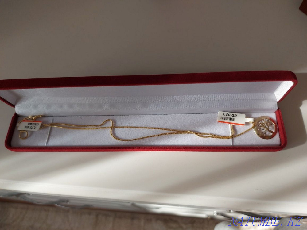 Sell chain with pendant Astana - photo 1