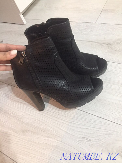 Ботильоны Большой чаган - изображение 2