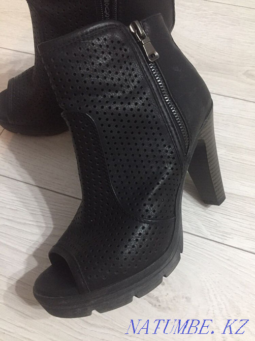 Ботильоны Большой чаган - изображение 3