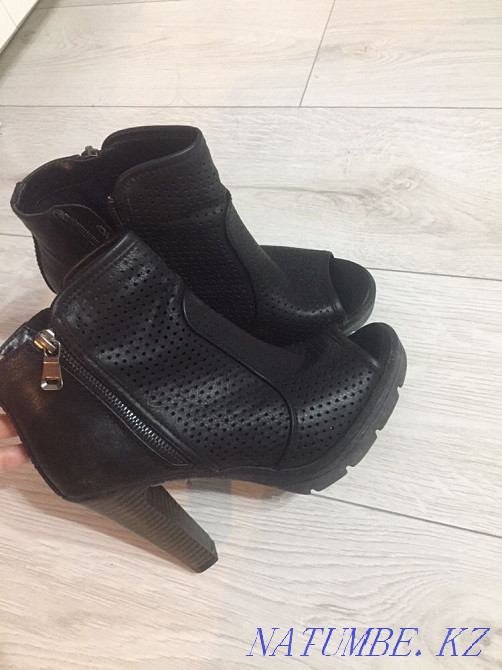 Ботильоны Большой чаган - изображение 1