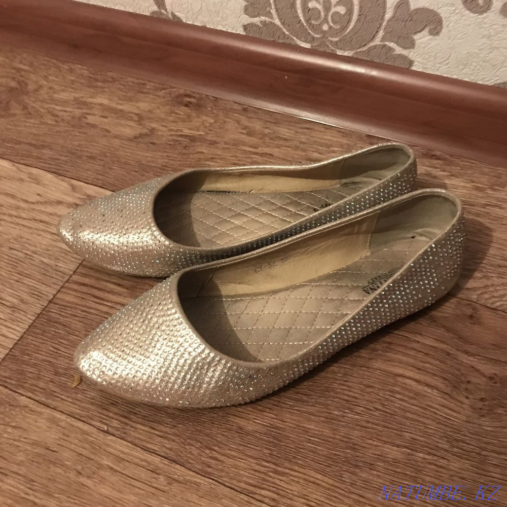 I'll give it all for 1000 Ekibastuz - photo 1