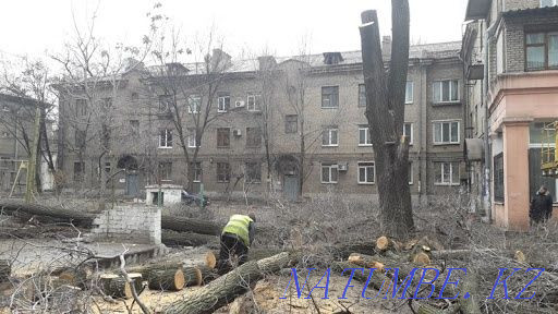 Спил!низкая цена! Усть-Каменогорск - изображение 1