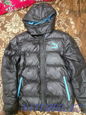 Puma jacket origanal Ekibastuz - photo 1