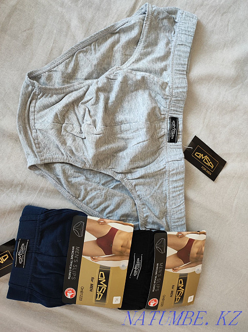 Мужские трусы, слипы Балхаш - изображение 1