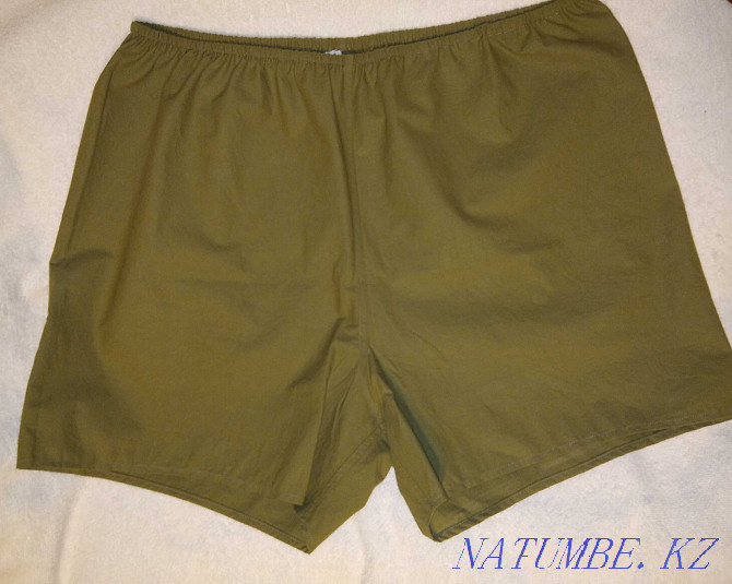 Men's briefs family Almaty - photo 2