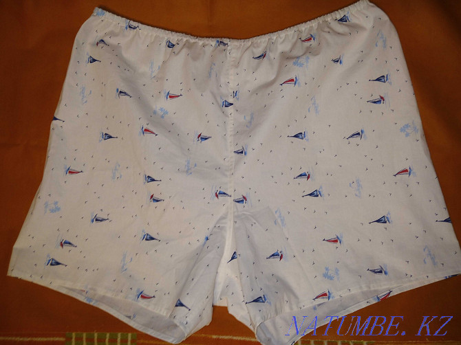 Men's briefs family Almaty - photo 3