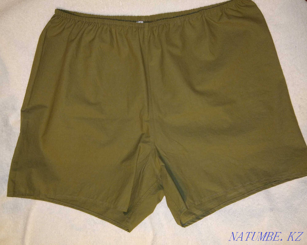 Men's briefs family Almaty - photo 2