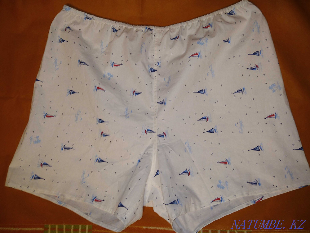 Men's briefs family Almaty - photo 3