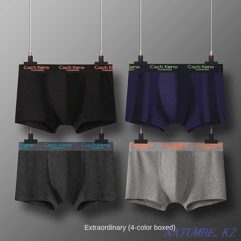 Men's cotton boxers (size XXL - 33-34) Karagandy - photo 1