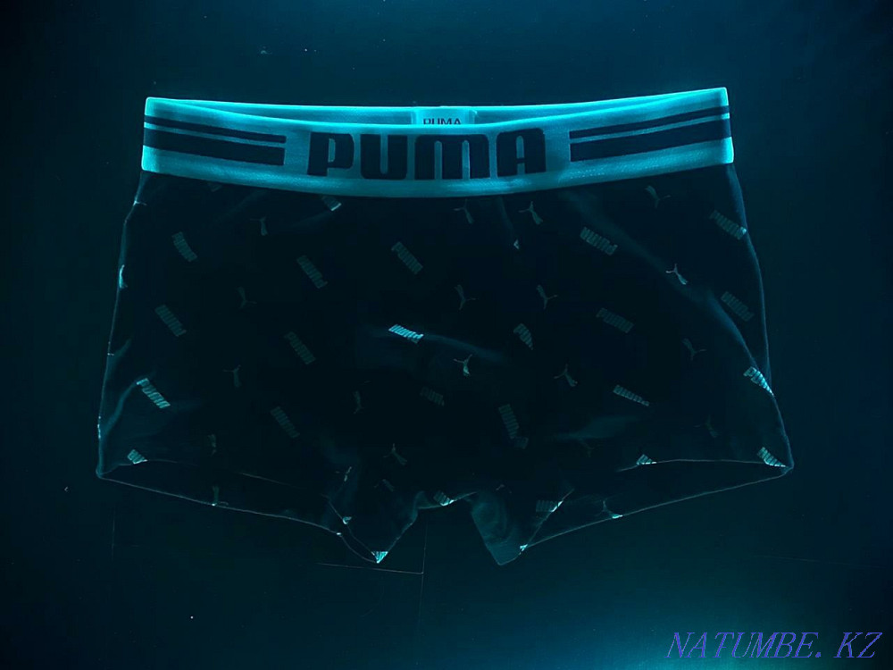 Трусы новые , мощные мужские Шымкент - изображение 1