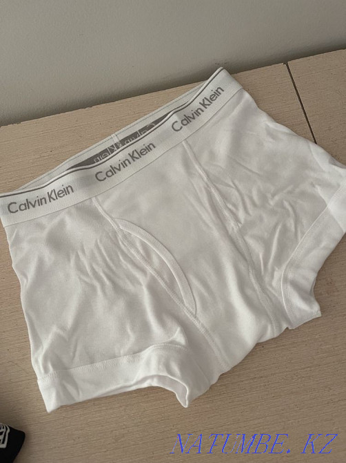 трусы мужские calvin klein Астана - изображение 2