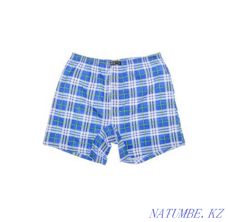 Ерлерге арналған үлкен трусиктер  Алматы - изображение 3