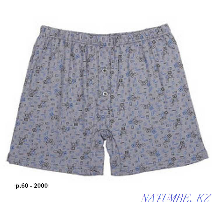 Ерлерге арналған үлкен трусиктер  Алматы - изображение 2