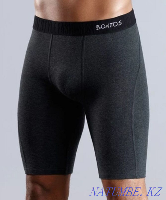 Men's long boxers Karagandy - photo 1