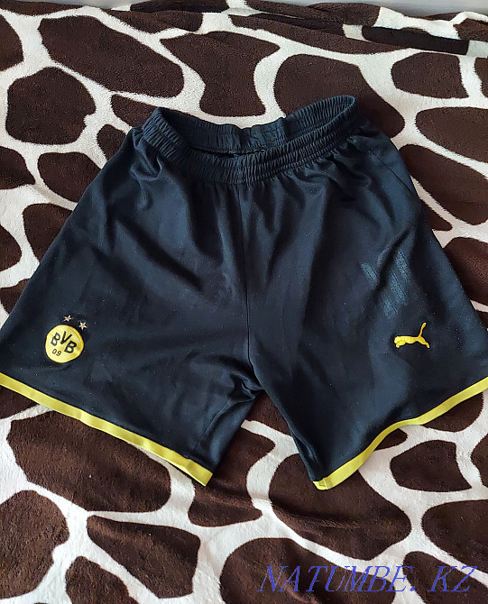 Различные игровые шорты Темиртау - изображение 2