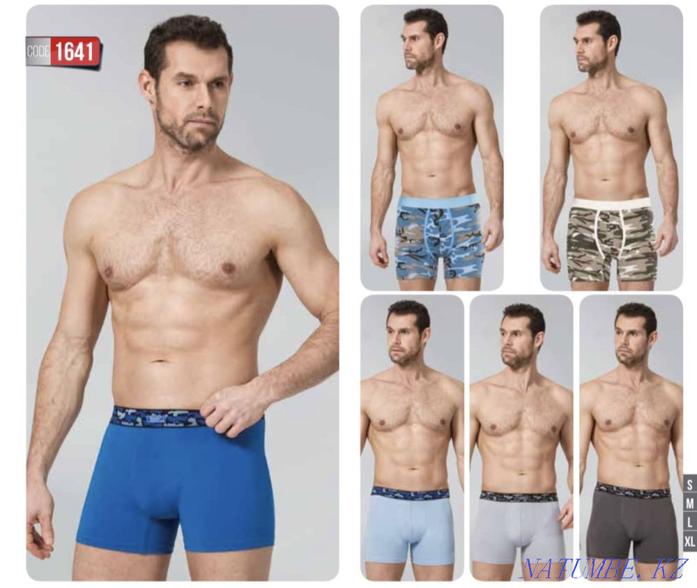 Ерлерге арналған футболкалар, футболкалар, боксшылар Түркияның бөлшек саудасы  Астана - изображение 5