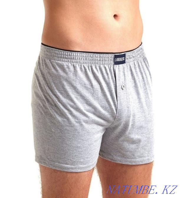 Трусы мужские, боксеры, трусы на заказ Кокшетау - изображение 1