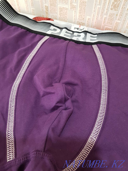 Briefs for men, boxers Astana - photo 3