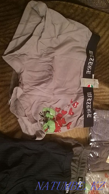 Men's underpants plus size Astana - photo 5