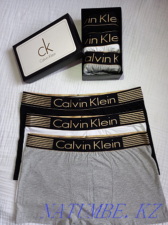 Calvin Klein ерлер боксының шорттары (люкс сапасы)  Алматы - изображение 1