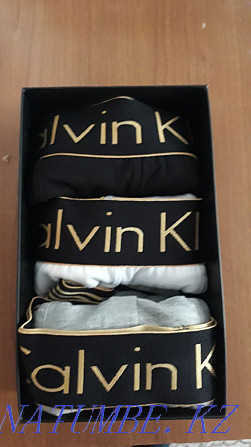 Calvin Klein ерлер боксының шорттары (люкс сапасы)  Алматы - изображение 2