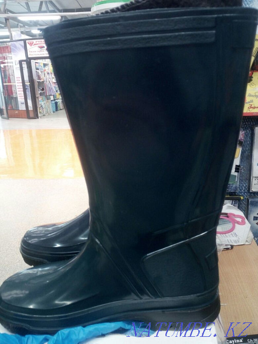 Rubber boots warmed. Kokshetau - photo 8