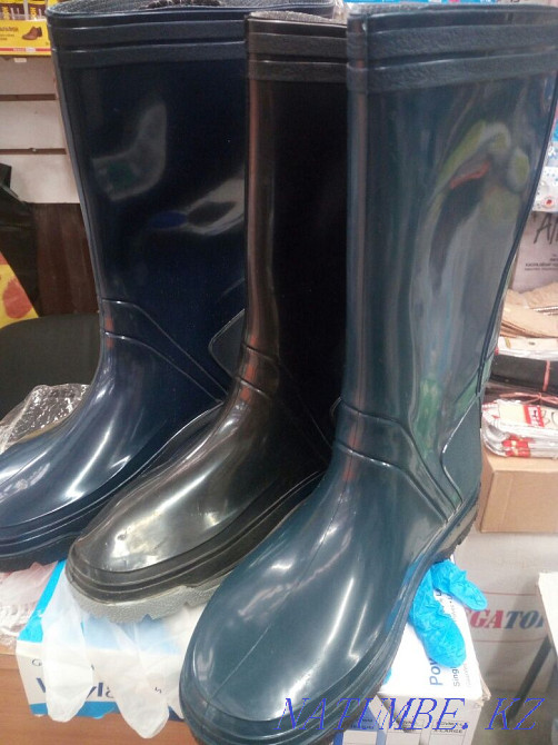 Rubber boots warmed. Kokshetau - photo 4