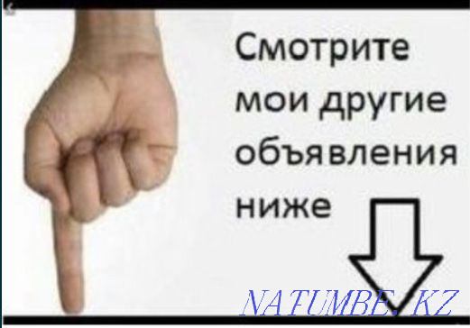 Sebago topsider original new Astana - photo 8