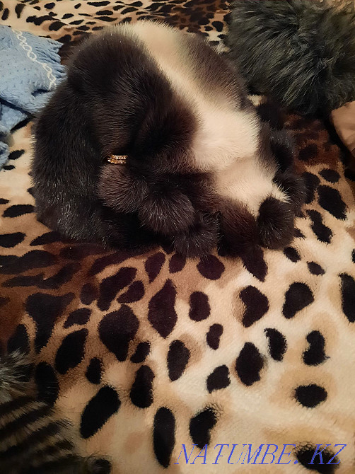 Продам норковую шапку Семей - изображение 1