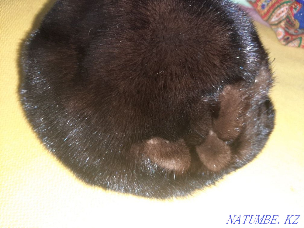 Продам шапку норковую Талдыкорган - изображение 3