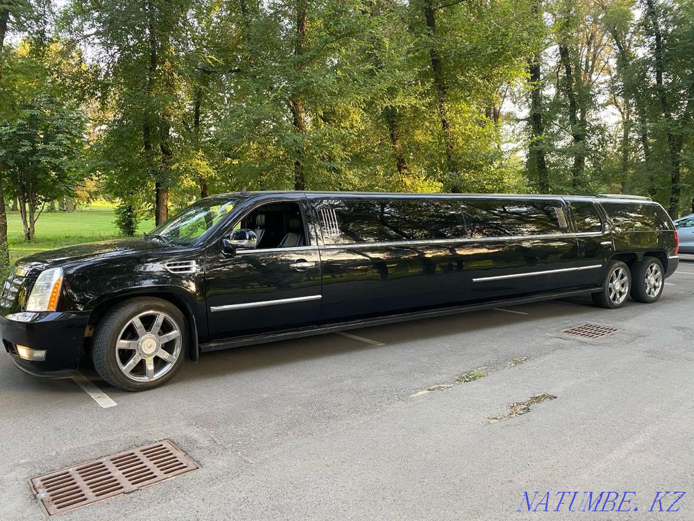 Parties, wedding, bachelorette parties, birthday surprise. Abay - photo 5