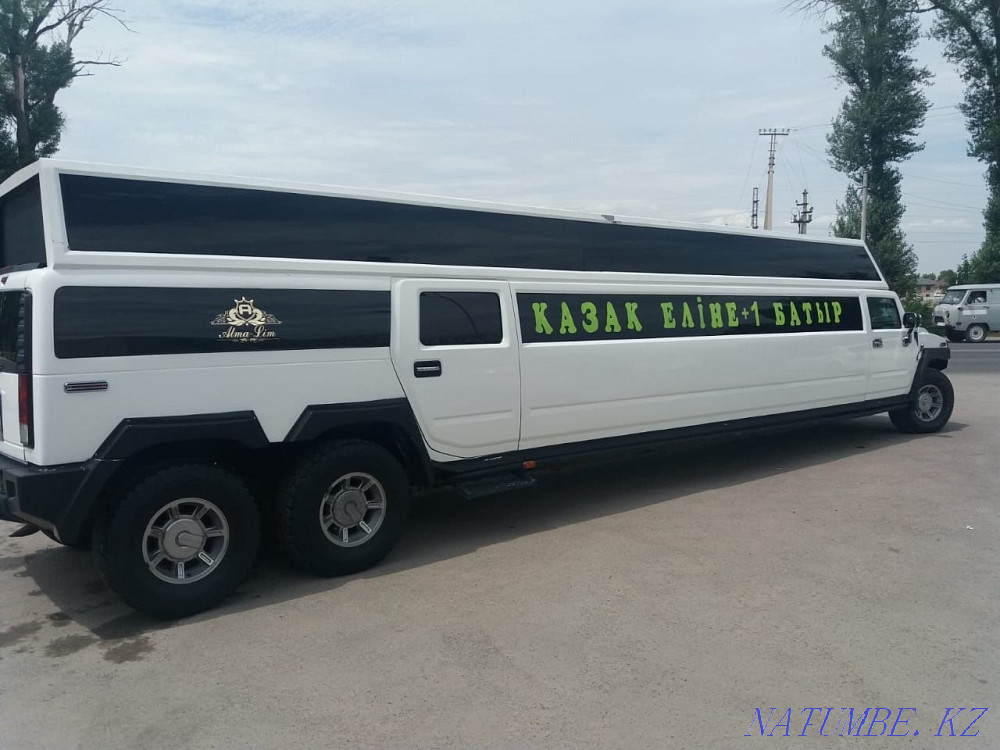 Девичник, день рождения, свадьба Бесагаш - изображение 5