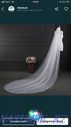 Wedding Veil  - photo 1