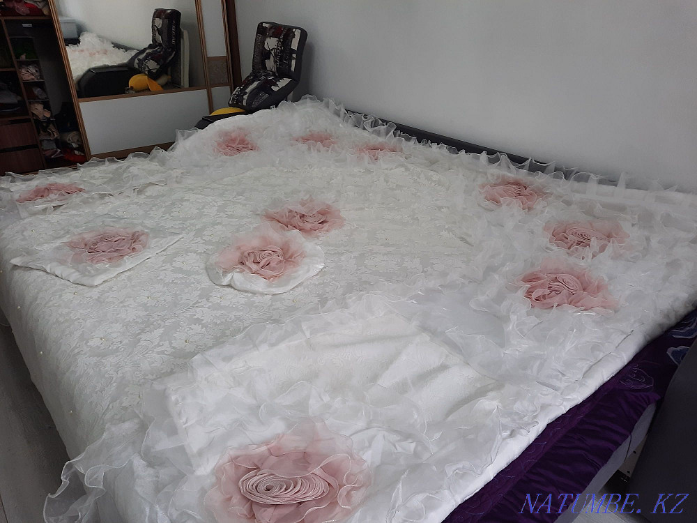 tosek zhap?ysh, huh? t?ysty, holdanylmagan, Almaty - photo 1