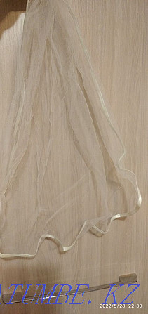 Veil for a bachelorette party Almaty - photo 1