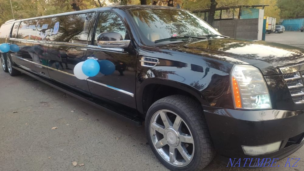 bachelorette party discharge from the hospital wedding Каменка - photo 1