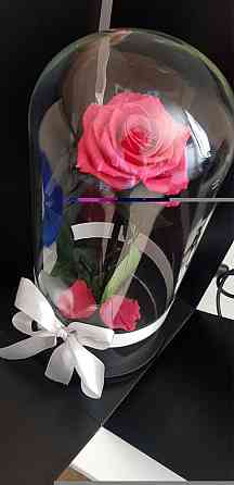 rose flask Almaty