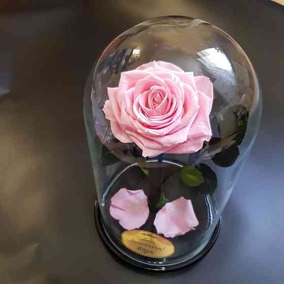rose flask Almaty