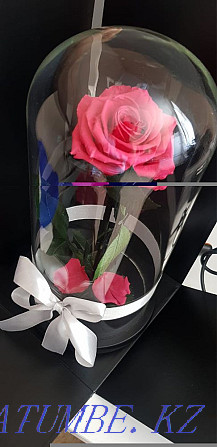 rose flask Almaty - photo 4