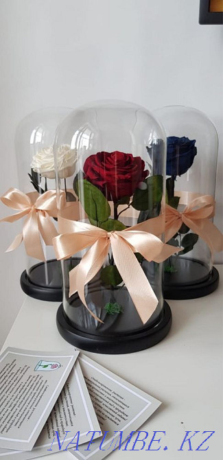 Роза колба Алматы - изображение 1
