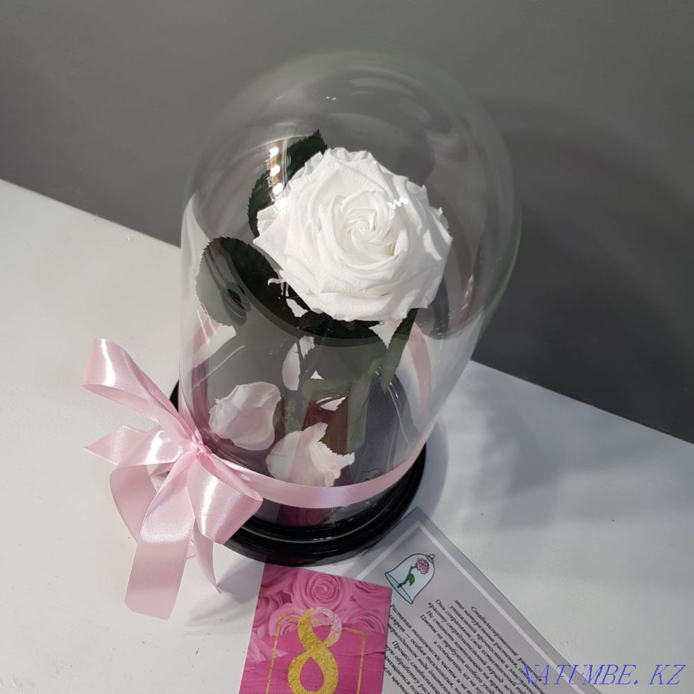 Роза колба Алматы - изображение 8