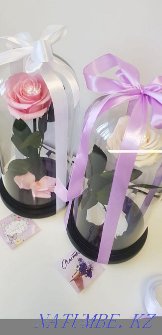 Роза колба Алматы - изображение 5